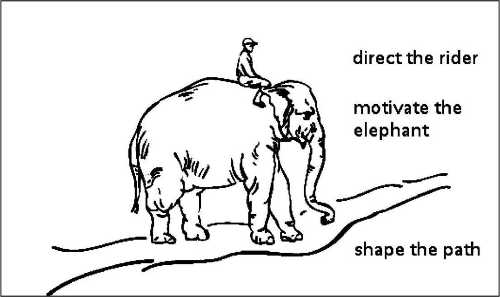 elephant_rider_path
